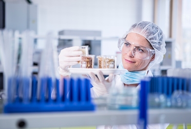 Scientist in lab examining samples