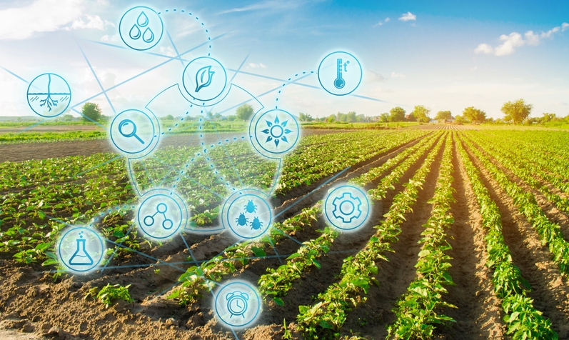 aardappelveld met iconen van digitale technieken